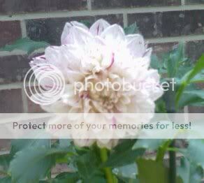 Hulin's Carnival_web